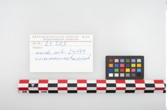 Etikett zu Bronzegürtelblech (NHMW-PRAE-024203)